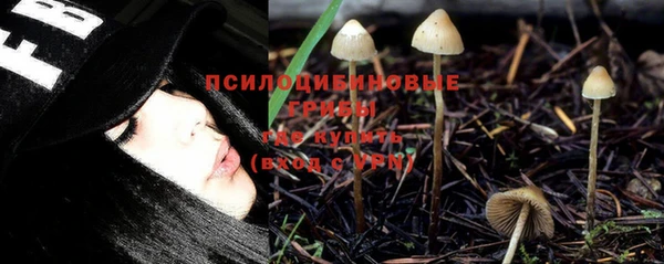 а пвп мука Арсеньев