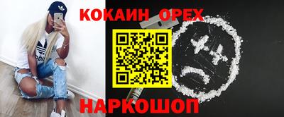 тгк Новозыбков
