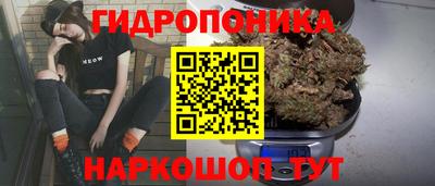 гашик Новокубанск
