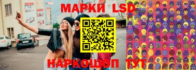 тгк Новозыбков