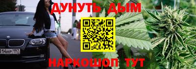 тгк Новозыбков