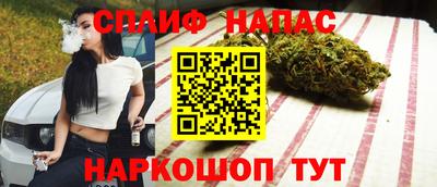 тгк Новозыбков