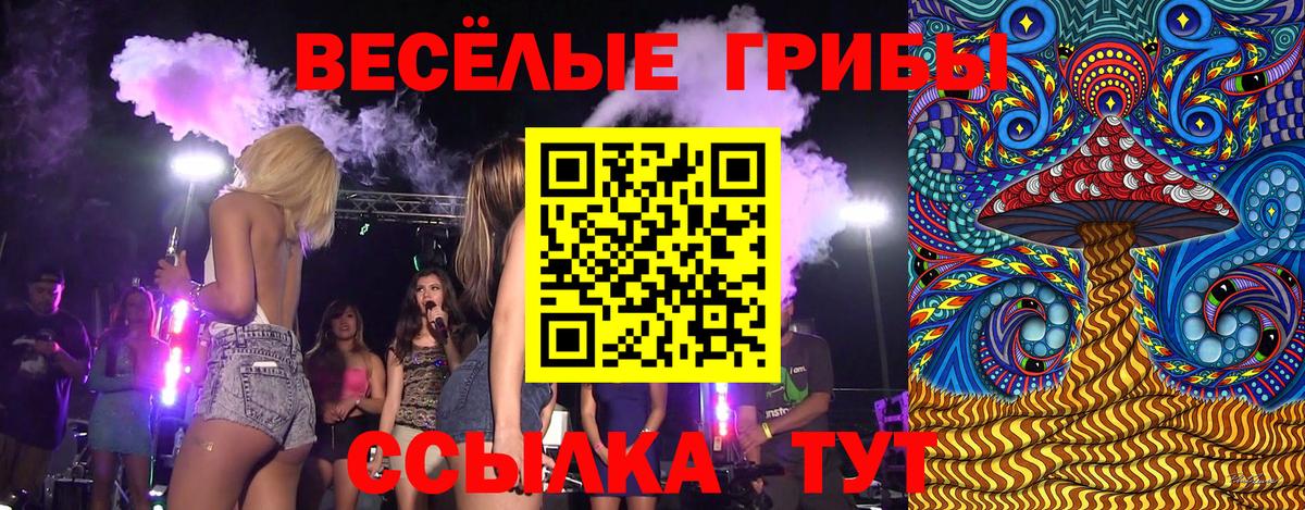 Глазов  где можно купить   Галлюциногенные грибы Cubensis  Вход с VPN  Псилоцибиновые грибы Magic Shrooms 
